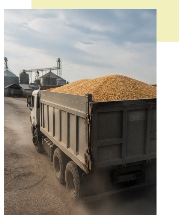 Перевозка сельхозпродукции навалом в Брянск по цене от 3225 р. | Агросервис-Бнк