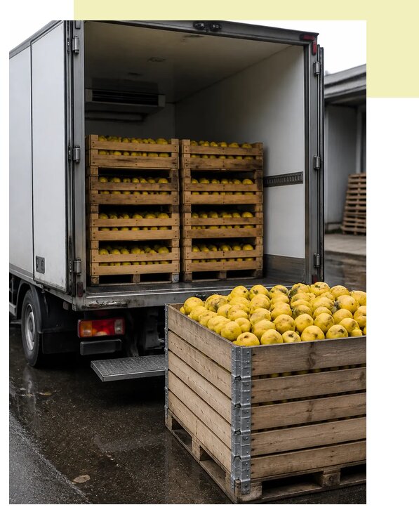 Перевозка айвы рефрижератором в Брянск по цене от 5376 р. | Агросервис-Бнк